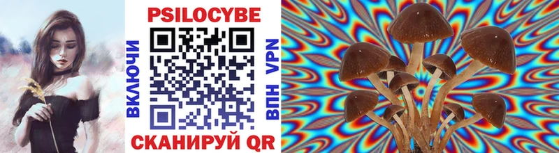 Купить  Красноармейск  Галлюциногенные грибы Psilocybe 